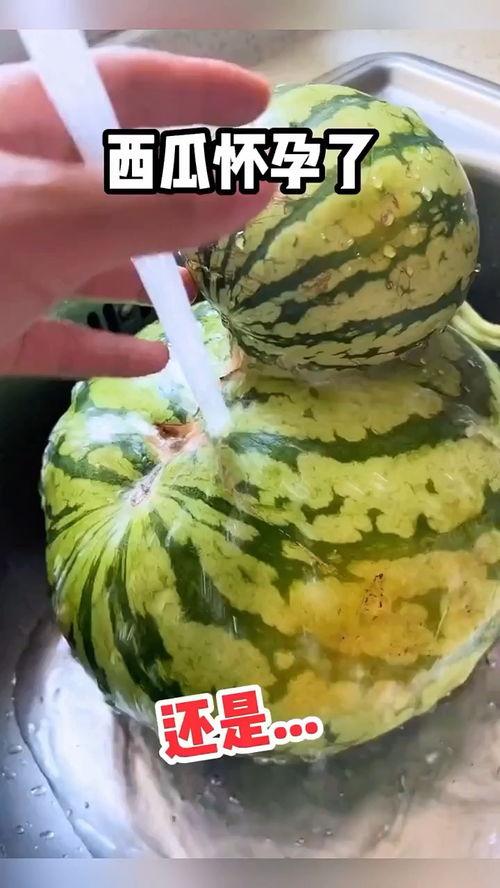 搞笑带货吃瓜视频,带你领略带货新风尚
