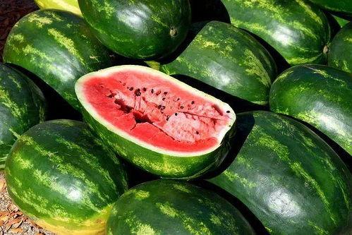 吃瓜在哪能找到视频素材,揭秘视频素材获取攻略