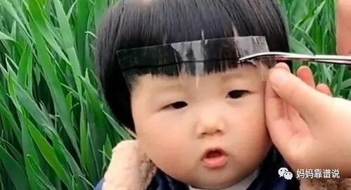 吃瓜金仔剪刘海视频大全,吃瓜金仔刘海视频大全，解锁时尚新发型