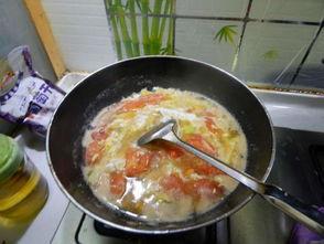 小瓜吃番茄汤视频下载,趣味视频带你领略美食魅力