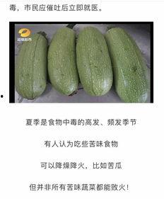 湖南衡东吃瓜事件视频,一场引发热议的街头冲突视频