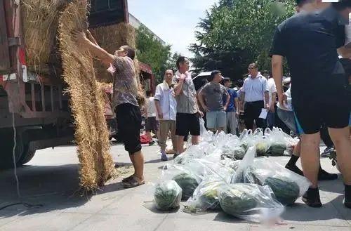 陕西洛川吃瓜事件视频,一场网络热议的乡村奇观