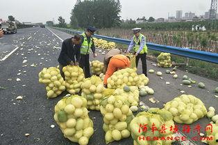 许昌吃瓜新闻视频,揭秘当地热点事件背后的真相