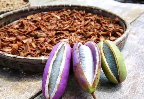 小妈吃八月瓜视频在线观看,小妈烹饪教程，在线观看学做家常美食