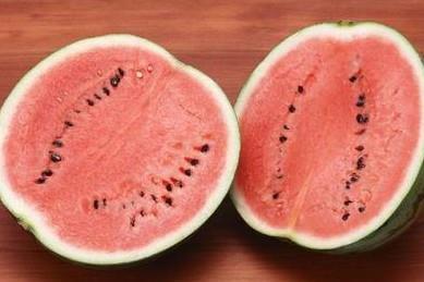 河北神剪视频吃瓜,揭秘吃瓜群众的趣味生活