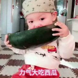 吃小瓜的小孩视频播放在线观看,吃小瓜小孩视频在线播放，欢声笑语传递快乐