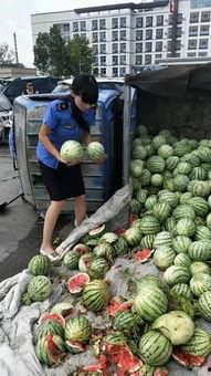 商丘夏邑吃瓜事件视频,一场引发热议的网络视频风波