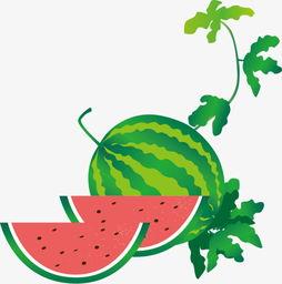 吃瓜场景手绘视频下载,手绘视频带你领略吃瓜场景的趣味瞬间