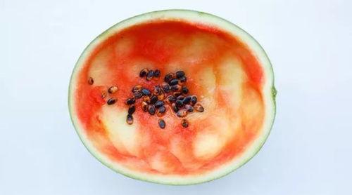 用勺子吃瓜牙视频,趣味视频带你领略夏日清凉新风尚