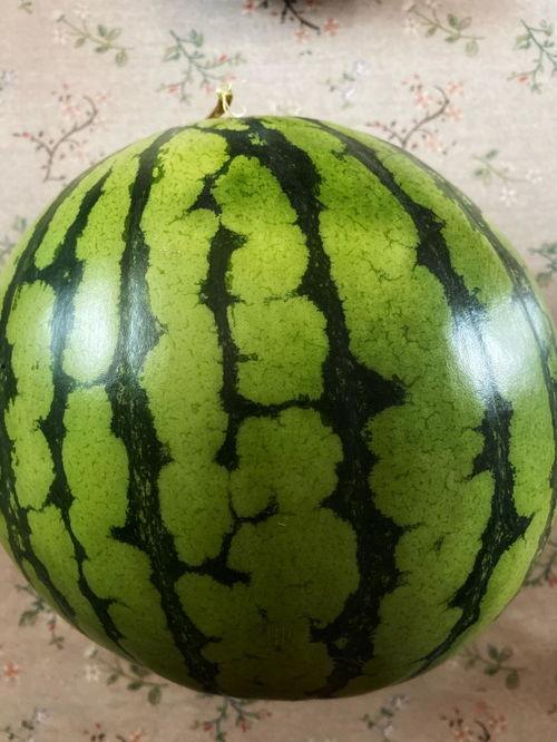 安心吃瓜视频表演,揭秘热门视频背后的精彩表演