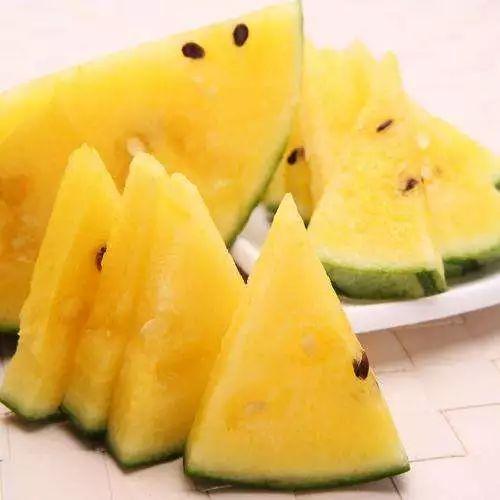 最好看的吃瓜视频,笑料百出，精彩纷呈！