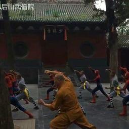 少林寺武僧吃瓜视频,传统武术与现代生活的奇妙碰撞