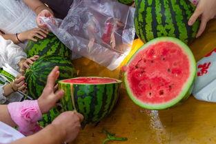 很新奇的吃瓜视频