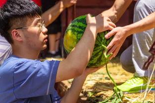 各大学的吃瓜视频,揭秘各大校园吃瓜视频背后的故事