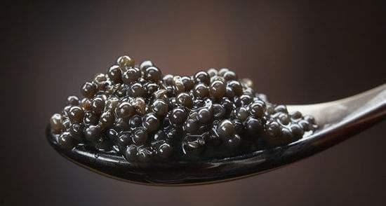 吃怪兽的鱼子酱的瓜视频,吃怪兽鱼子酱的奇幻之旅