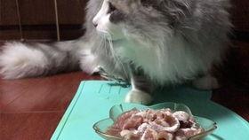 禿崽的吃瓜的视频,揭秘娱乐圈幕后故事