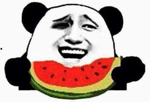 吃瓜群众傻妹子视频大全,趣味视频大盘点