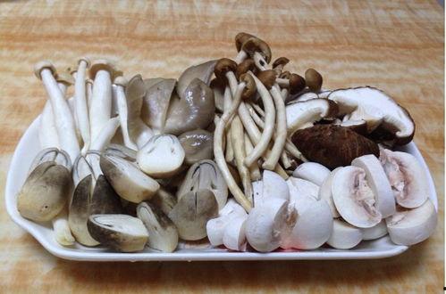 蘑菇视频爆料黑料吃瓜51