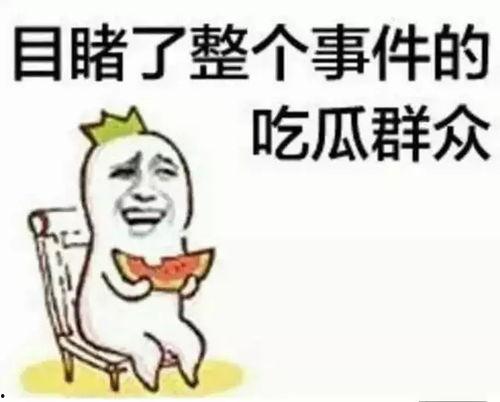 吃瓜群众算什么视频类型