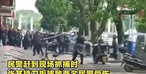 曹县张店吃瓜事件视频最新,一场引发热议的网络视频风波