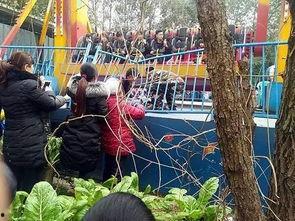 昆明乐园吃瓜事件视频,一场引发热议的公共冲突