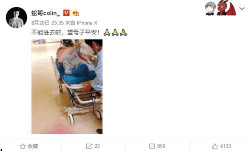 主播吃生瓜视频在线观看,主播现场试吃生瓜，惊险刺激直播大揭秘！